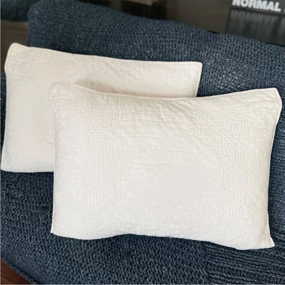 2 Pottery Barn Cotton & Silk Cross Stitch Standard Shams Ivory Cream White Pick - Picture 2 of 9